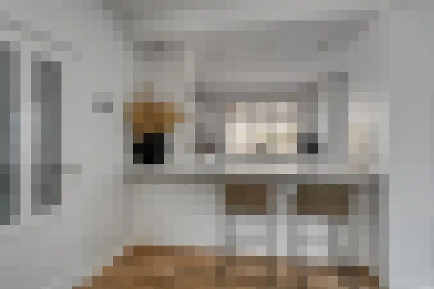 Schepenstraat 2 's-Hertogenbosch thumbnail 11