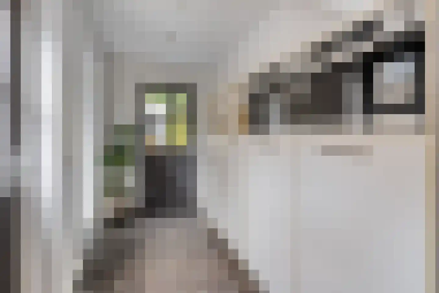 Schepenstraat 2 's-Hertogenbosch thumbnail 14