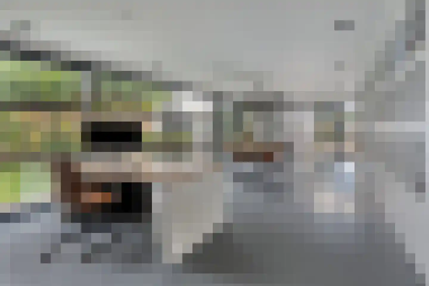 Schepenstraat 2 's-Hertogenbosch thumbnail 15