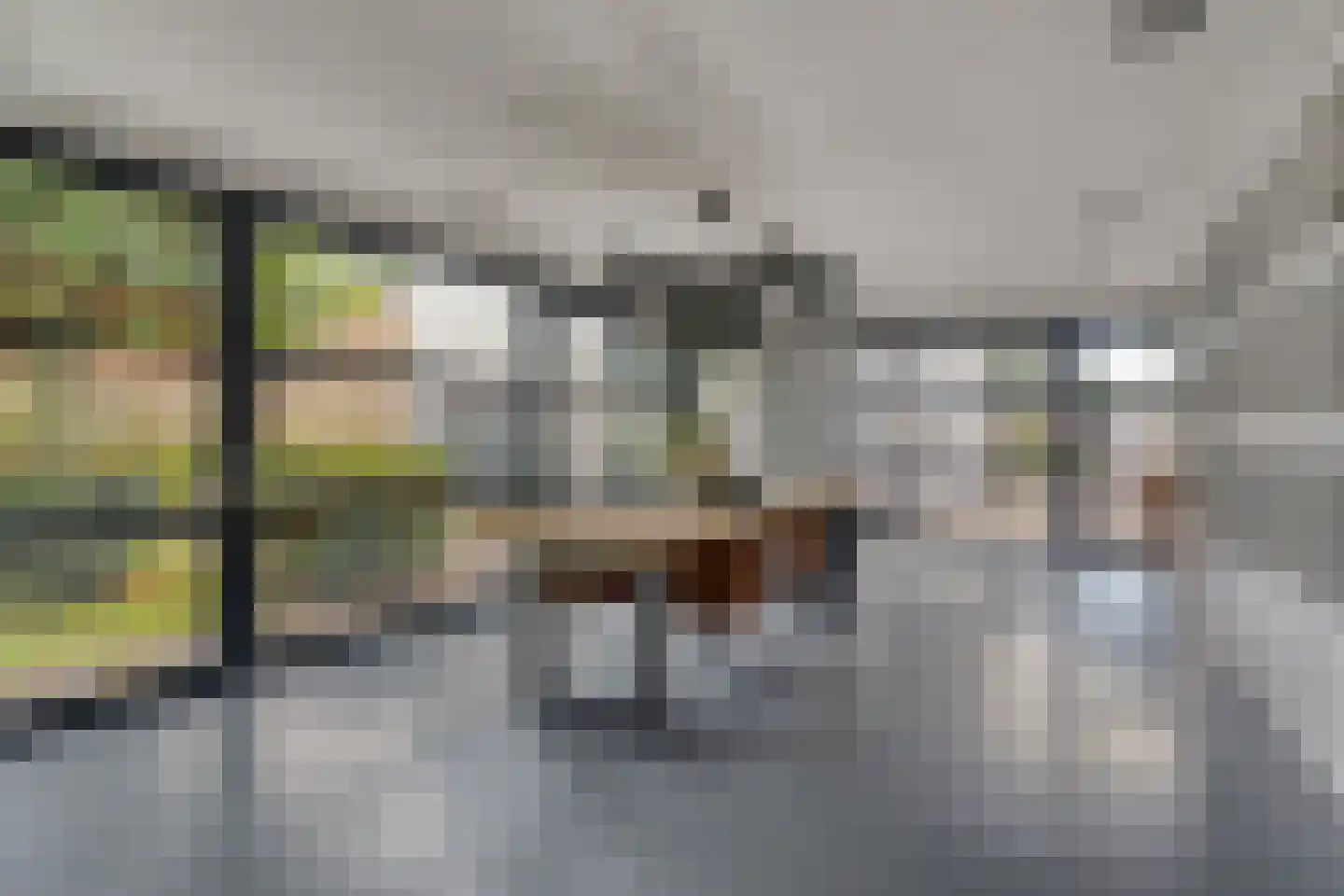 Schepenstraat 2 's-Hertogenbosch thumbnail 16