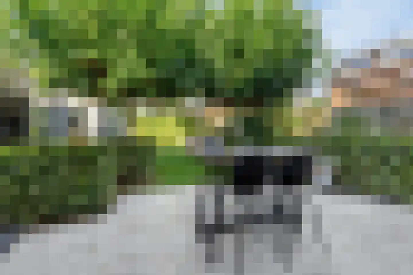 Schepenstraat 2 's-Hertogenbosch thumbnail 26