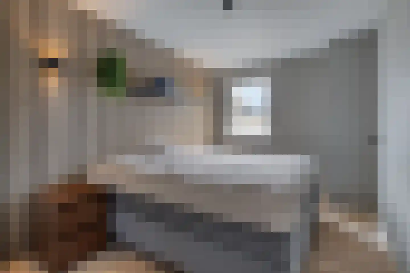 Schepenstraat 2 's-Hertogenbosch thumbnail 35