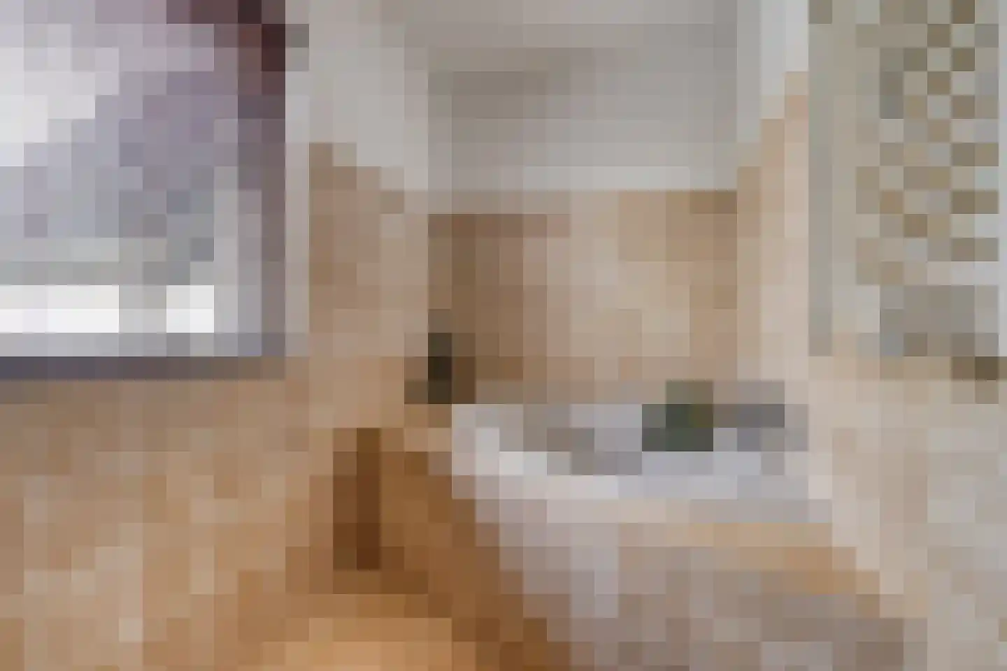 Schepenstraat 2 's-Hertogenbosch thumbnail 39