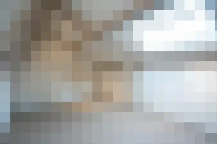 Schepenstraat 24 Geulle thumbnail 15