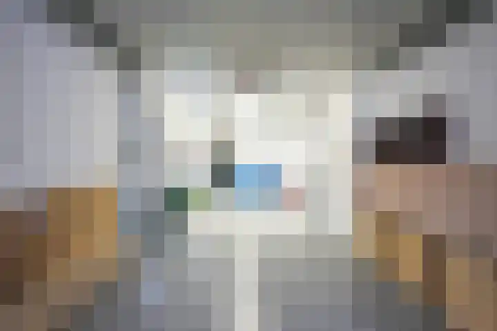 Schepenstraat 24 Geulle thumbnail 18