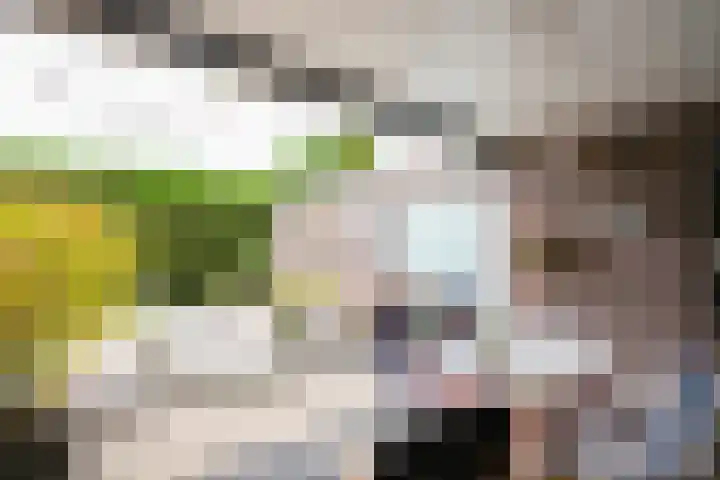 Schepenstraat 24 Geulle thumbnail 21