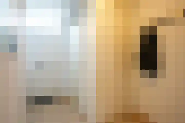 Schepenstraat 24 Geulle thumbnail 7