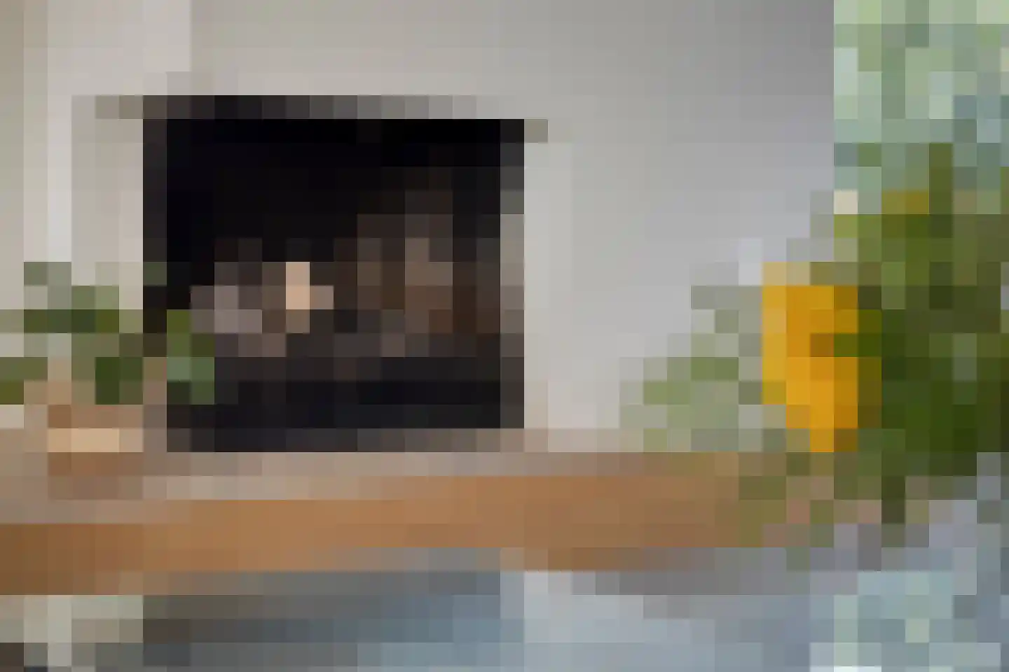 Schepenstraat 25 Baexem thumbnail 13