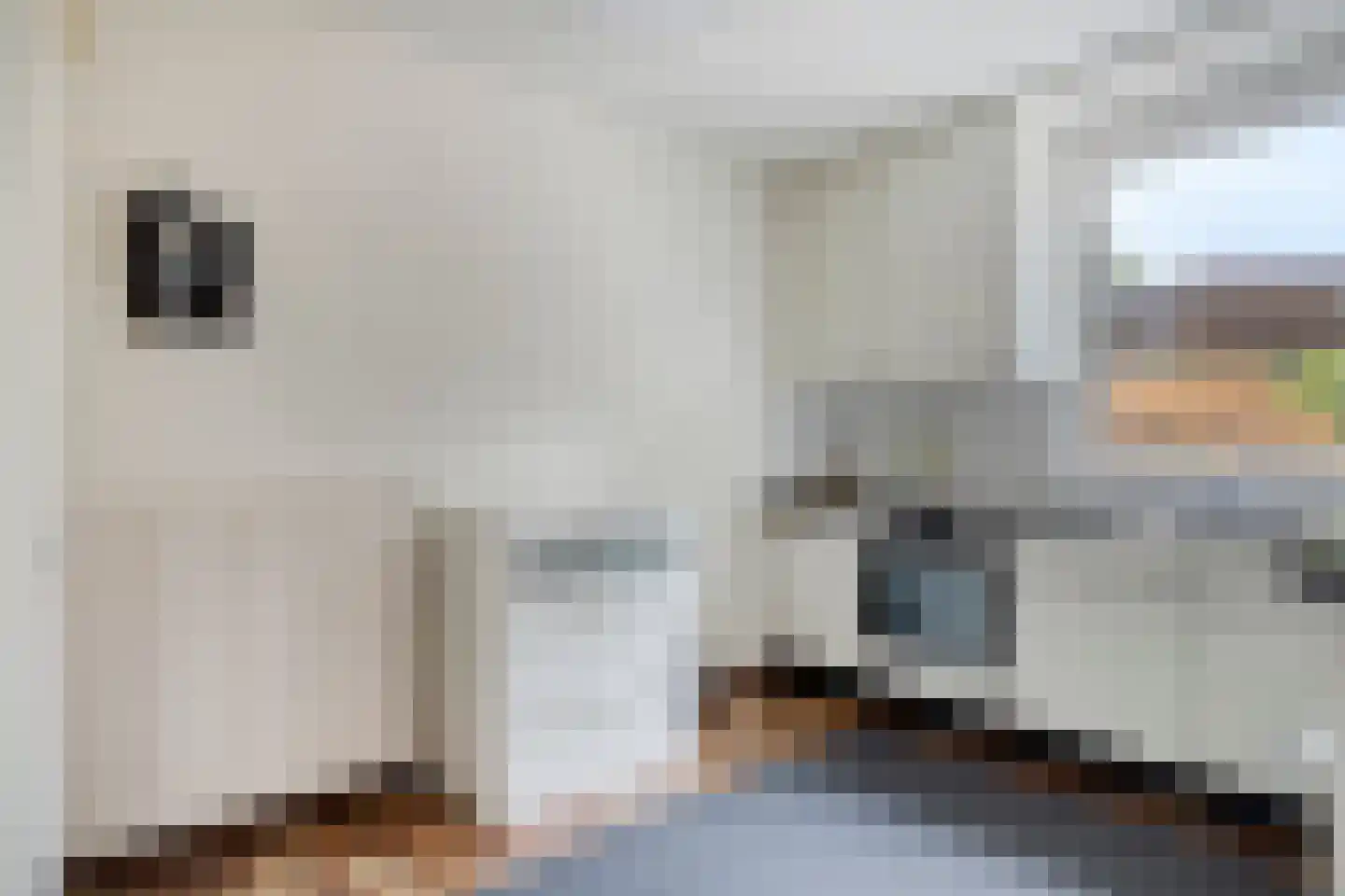 Schepenstraat 25 Baexem thumbnail 19