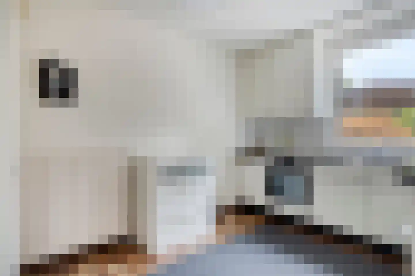 Schepenstraat 25 Baexem thumbnail 19