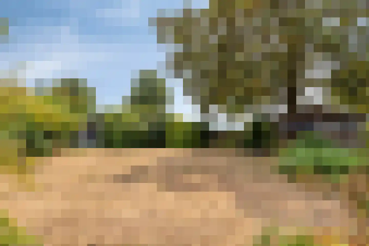 Schepenstraat 25 Baexem thumbnail 36