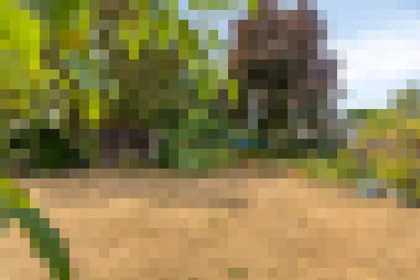 Schepenstraat 25 Baexem thumbnail 37