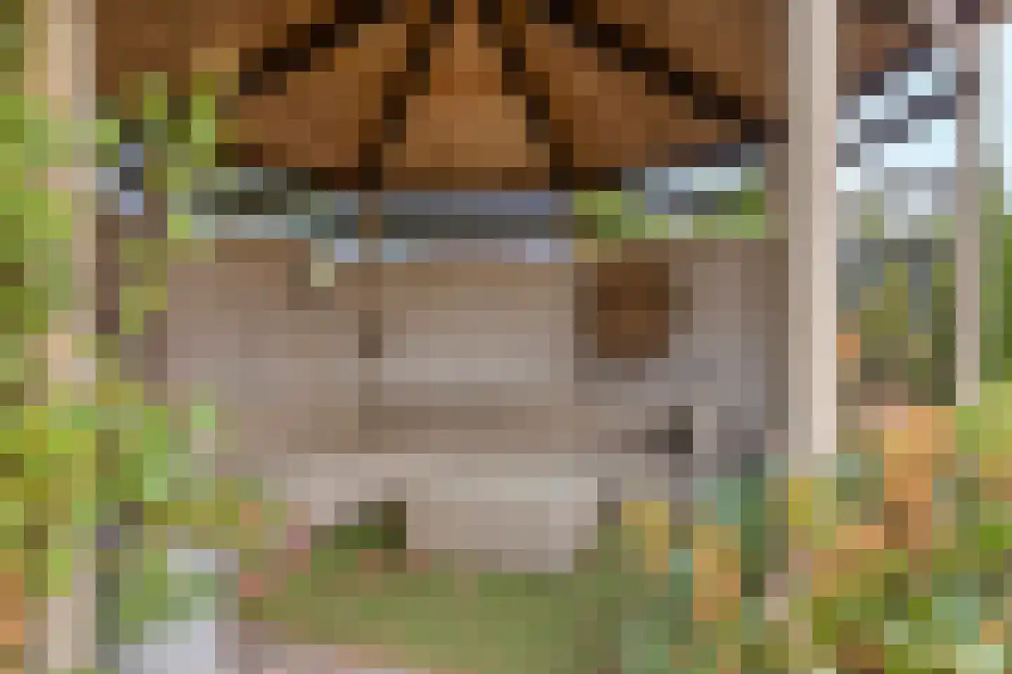 Schepenstraat 25 Baexem thumbnail 38