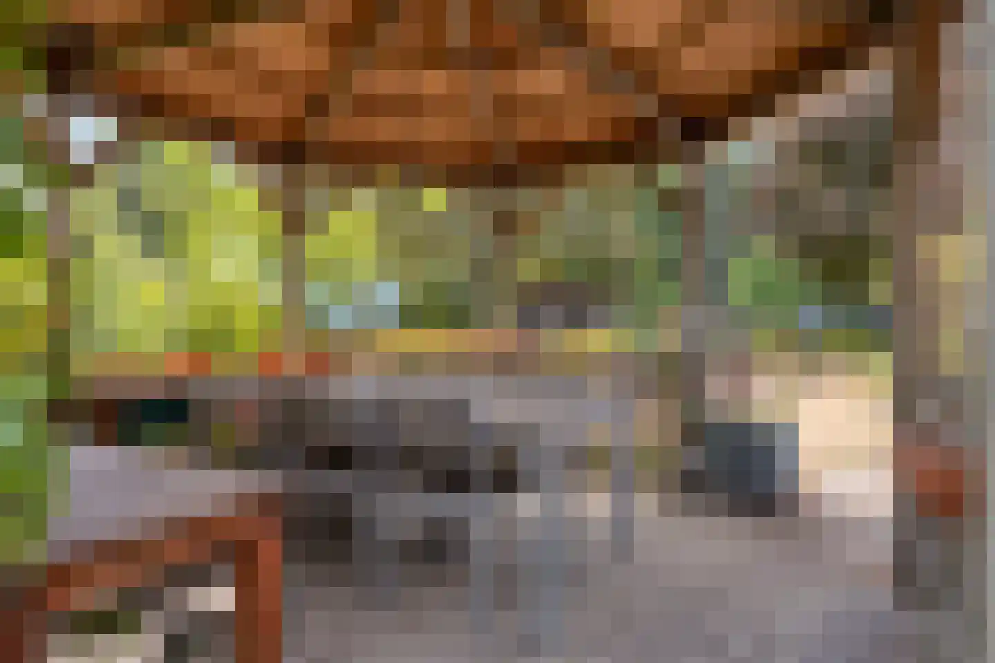 Schepenstraat 25 Baexem thumbnail 39