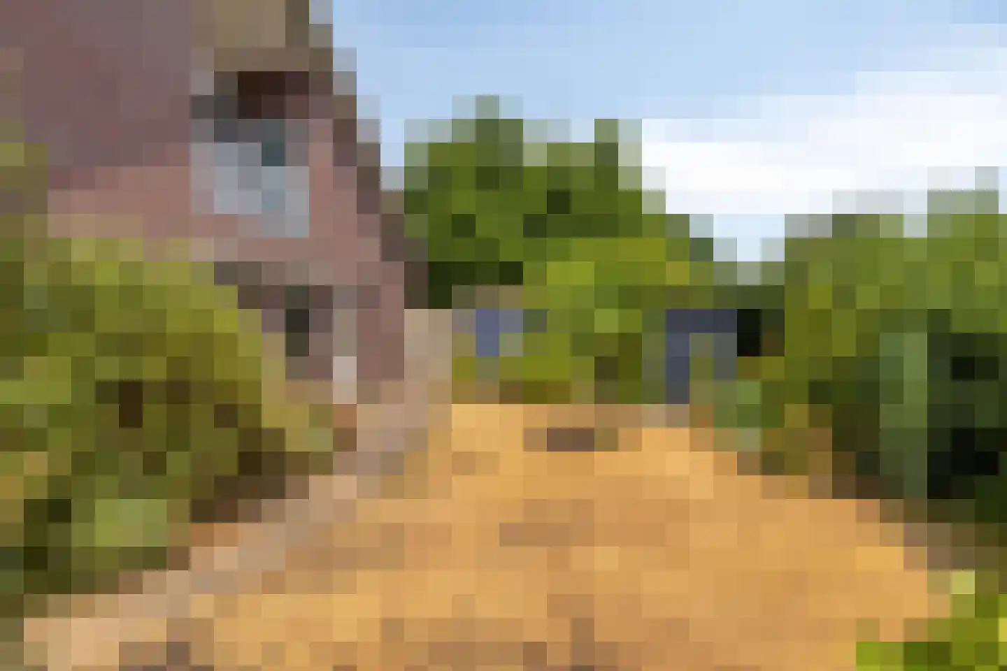 Schepenstraat 25 Baexem thumbnail 40