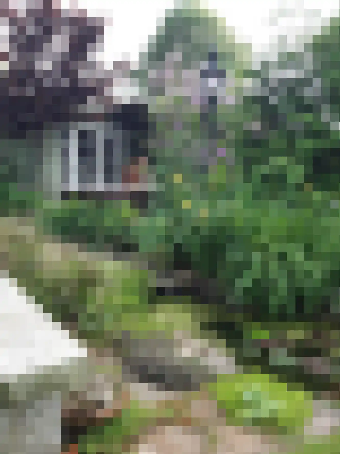 Schepenstraat 25 Baexem thumbnail 43