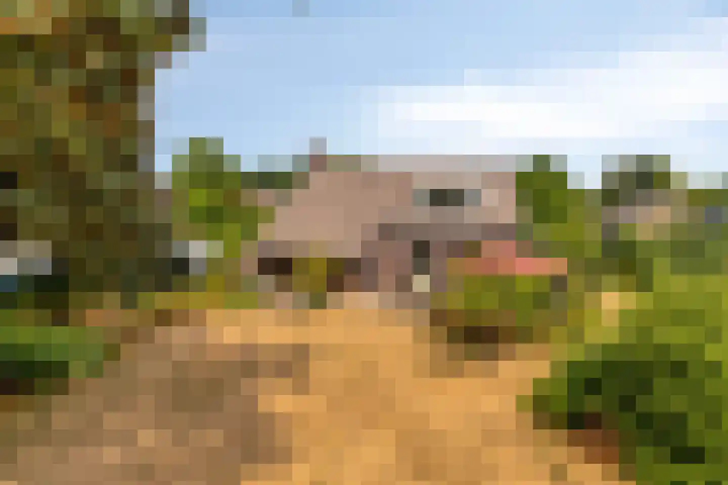Schepenstraat 25 Baexem thumbnail 45