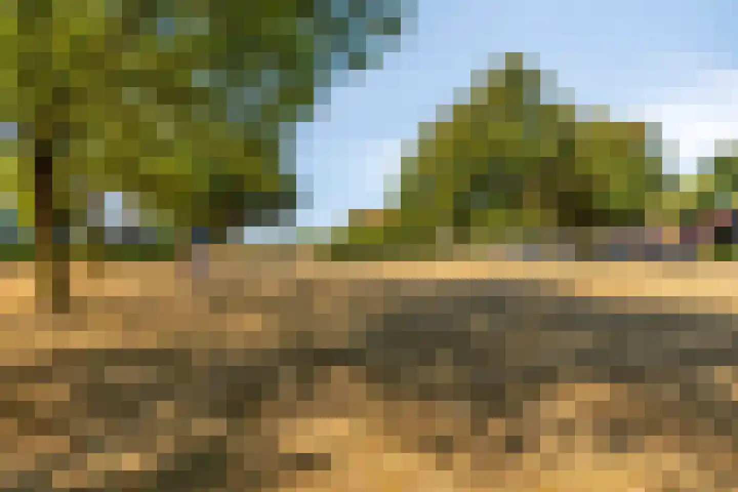 Schepenstraat 25 Baexem thumbnail 51
