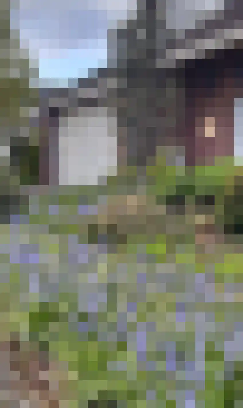 Schepenstraat 25 Baexem thumbnail 7