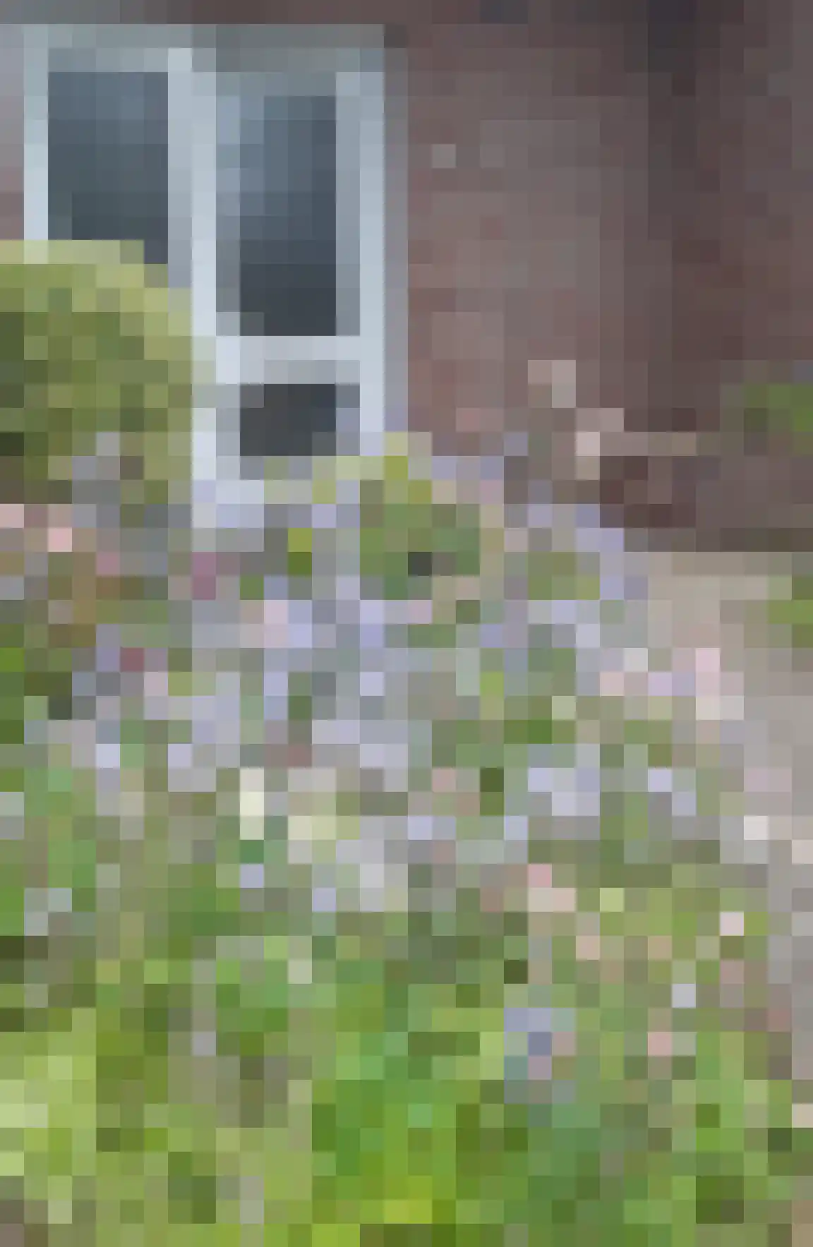 Schepenstraat 25 Baexem thumbnail 8