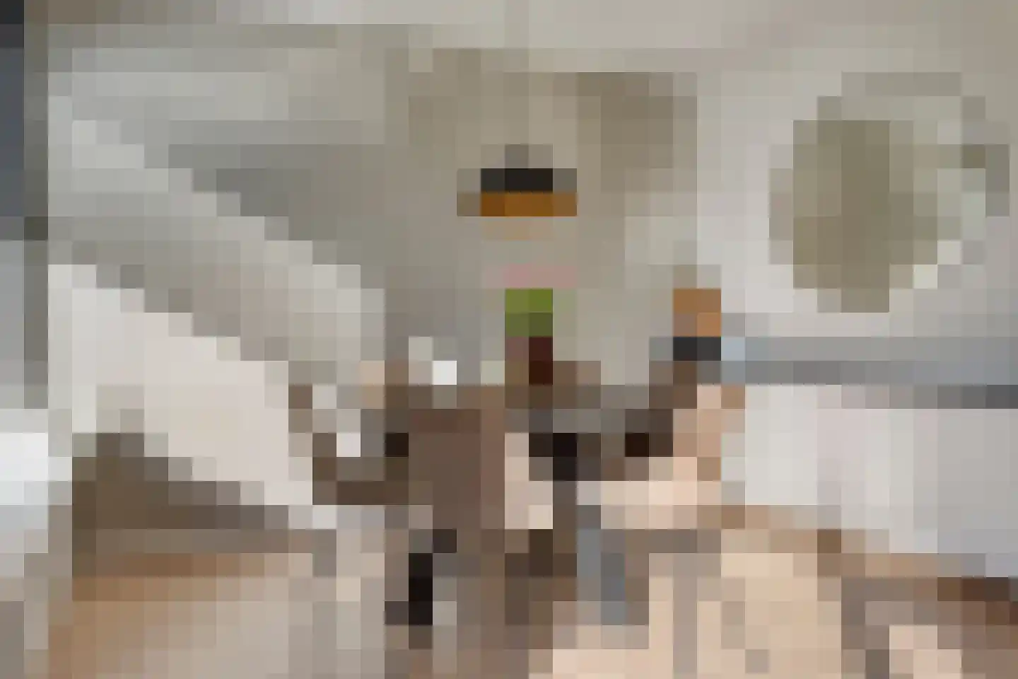 Schepenstraat 25 c Krimpen aan den IJssel thumbnail 14