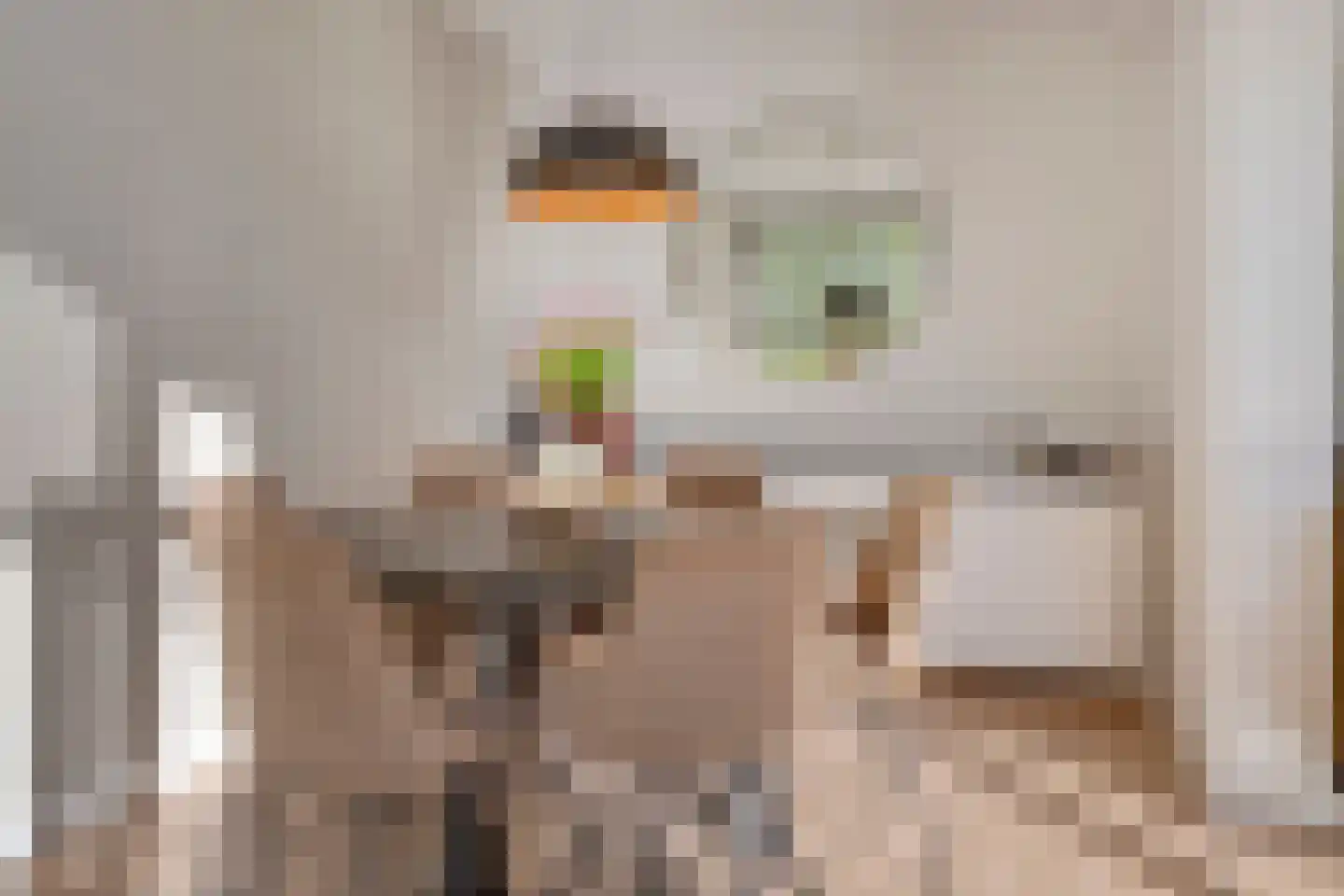 Schepenstraat 25 c Krimpen aan den IJssel thumbnail 15