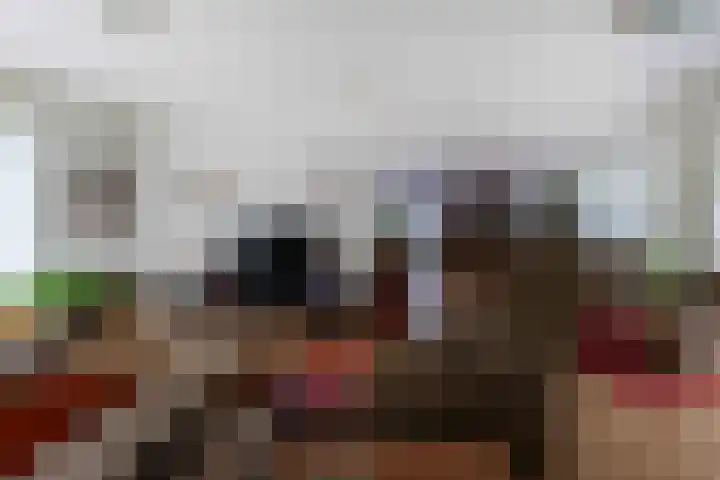 Schepenstraat 25 Geulle thumbnail 15