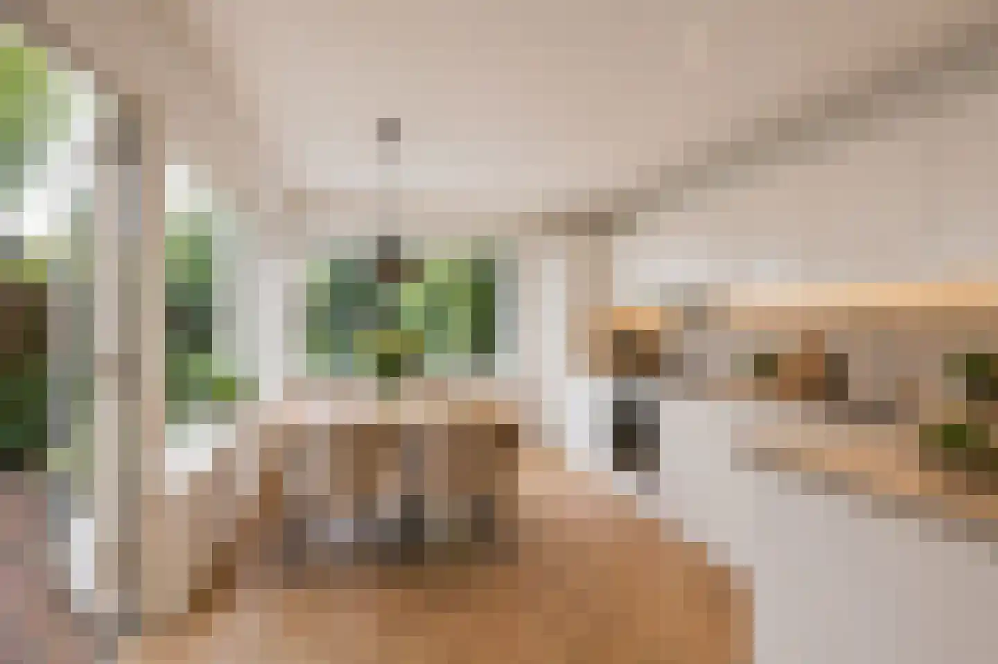 Schepenstraat 29 Rijen thumbnail 18