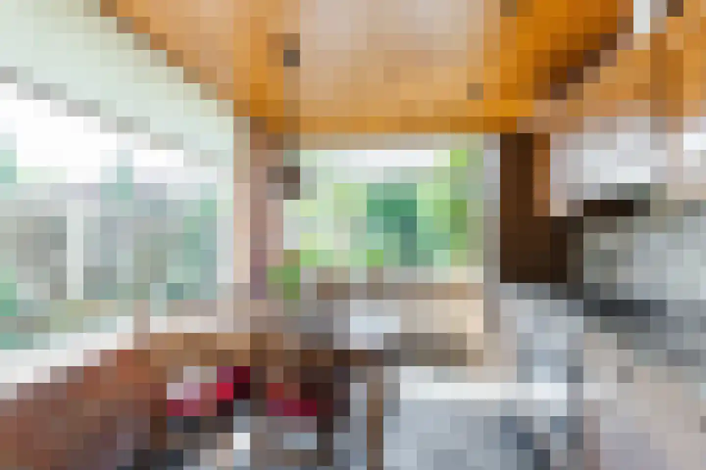 Schepenstraat 29 Rijen thumbnail 20
