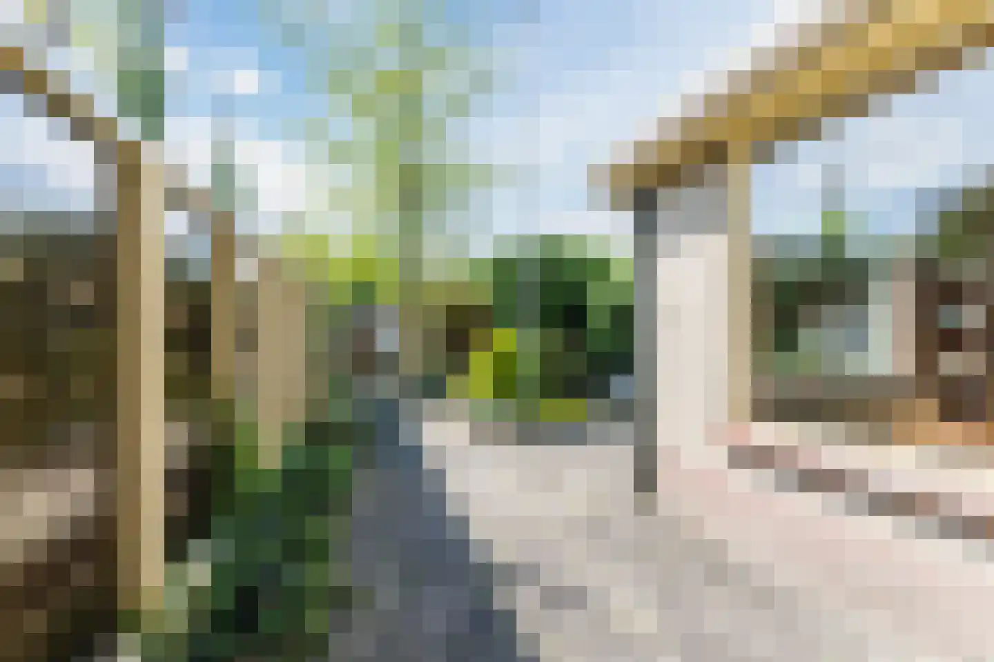Schepenstraat 29 Rijen thumbnail 21