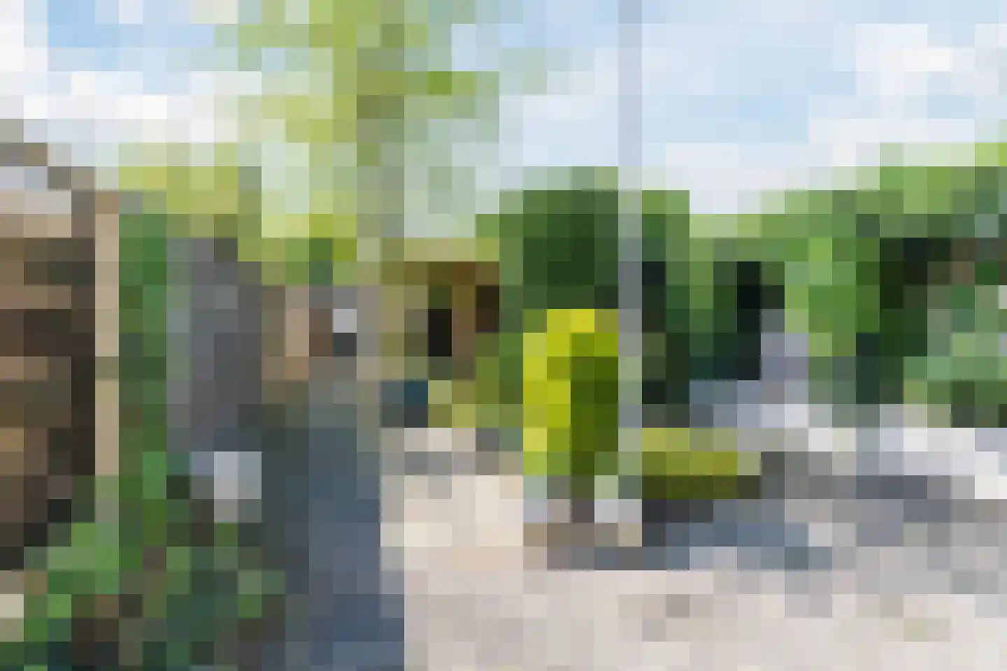 Schepenstraat 29 Rijen thumbnail 22