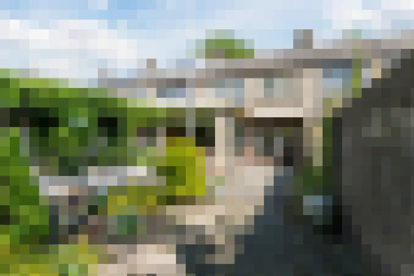 Schepenstraat 29 Rijen thumbnail 23