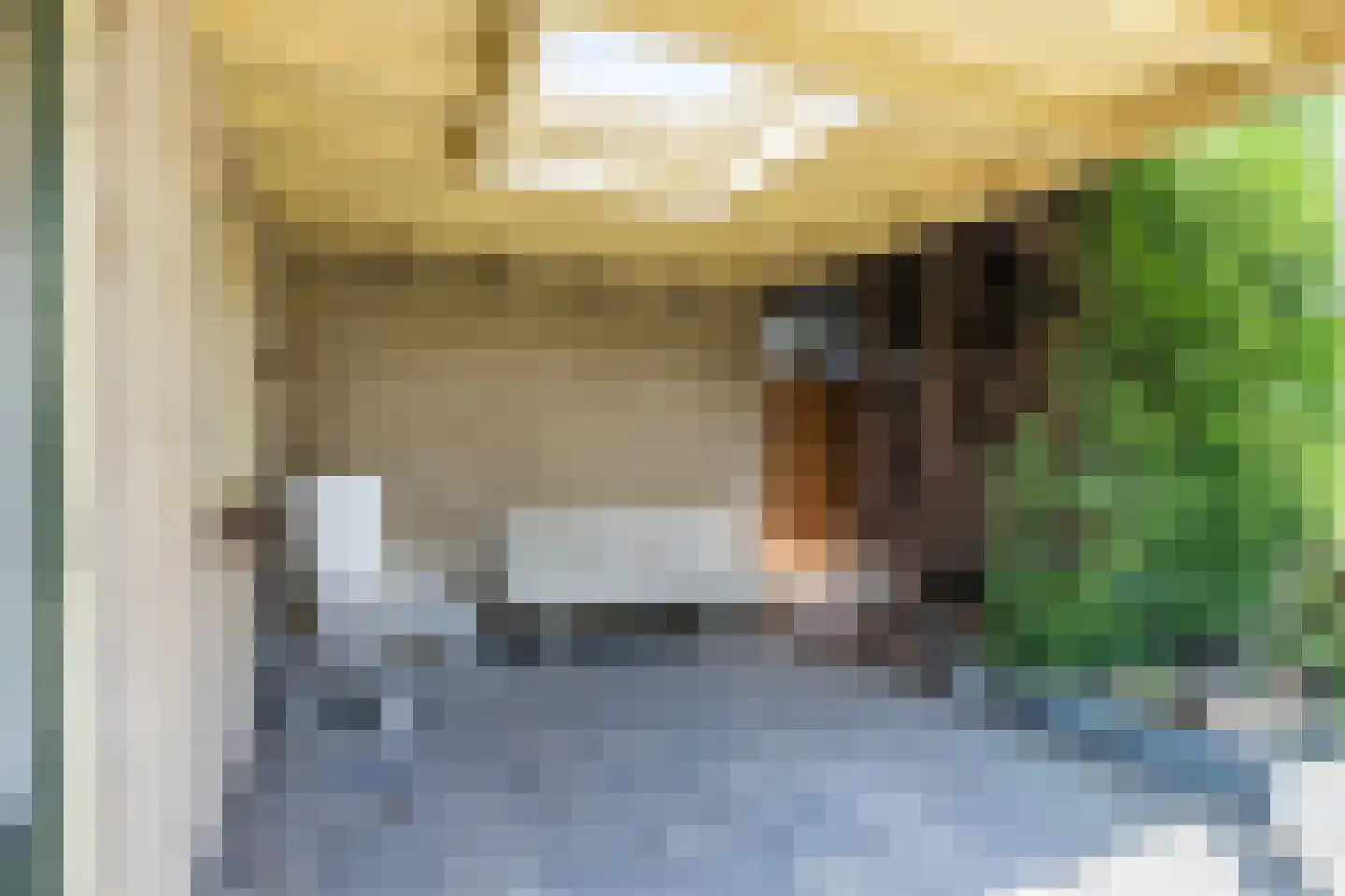 Schepenstraat 29 Rijen thumbnail 24
