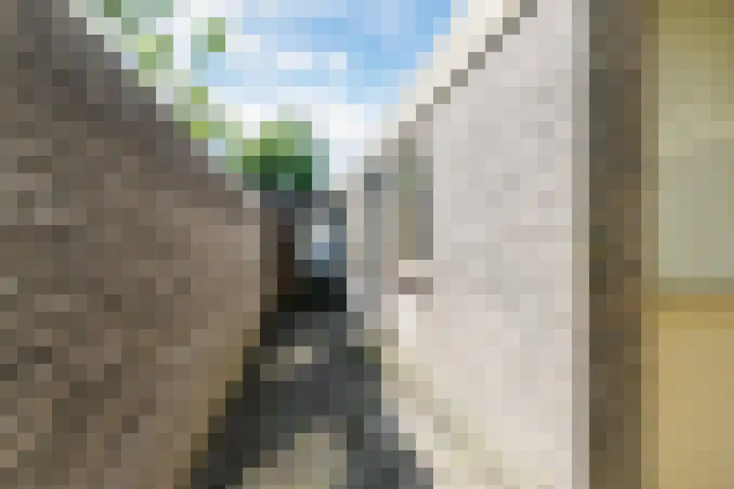 Schepenstraat 29 Rijen thumbnail 25