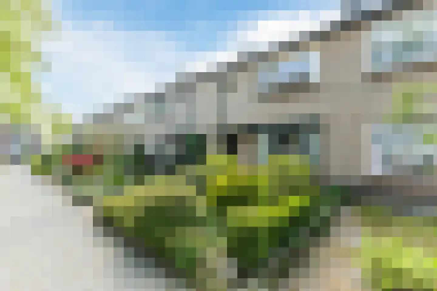 Schepenstraat 29 Rijen thumbnail 6