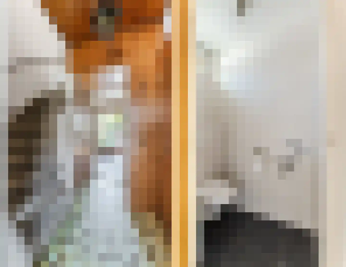Schepenstraat 29 Rijen thumbnail 9