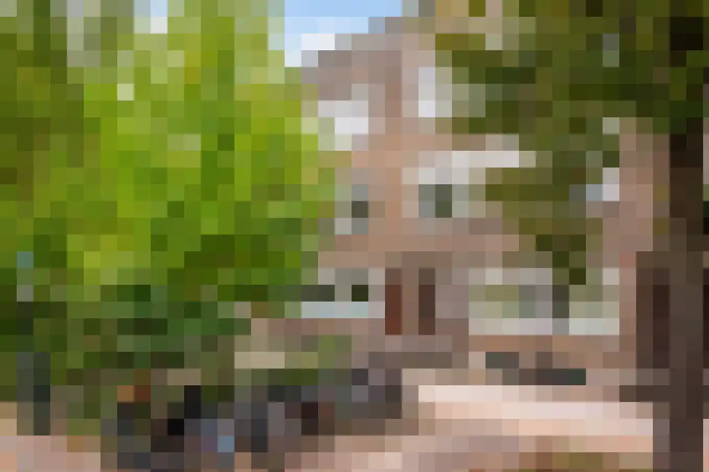 Schepenstraat 33 B 02 Rotterdam thumbnail 42