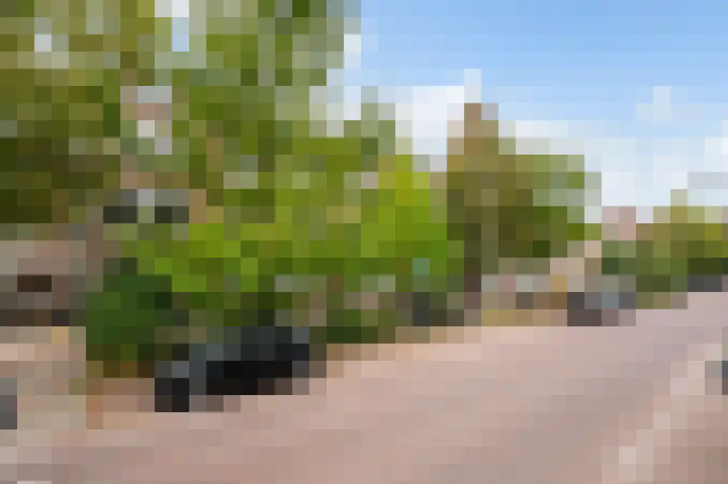 Schepenstraat 33 B 02 Rotterdam thumbnail 43
