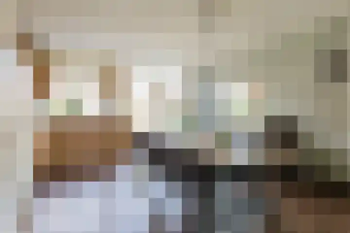 Schepenstraat 35 Ter Aar thumbnail 14