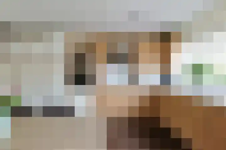 Schepenstraat 35 Ter Aar thumbnail 17