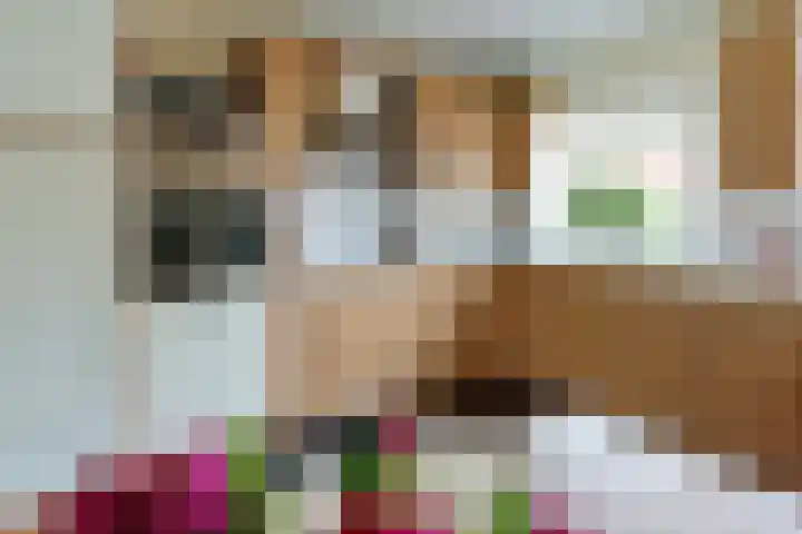 Schepenstraat 35 Ter Aar thumbnail 18