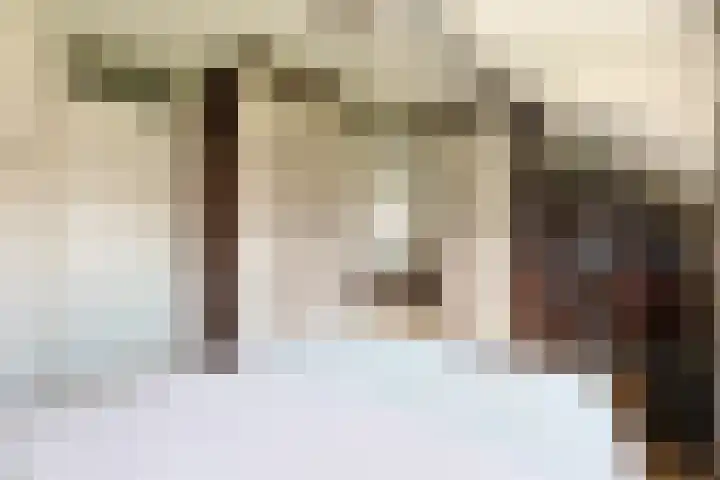 Schepenstraat 35 Ter Aar thumbnail 22