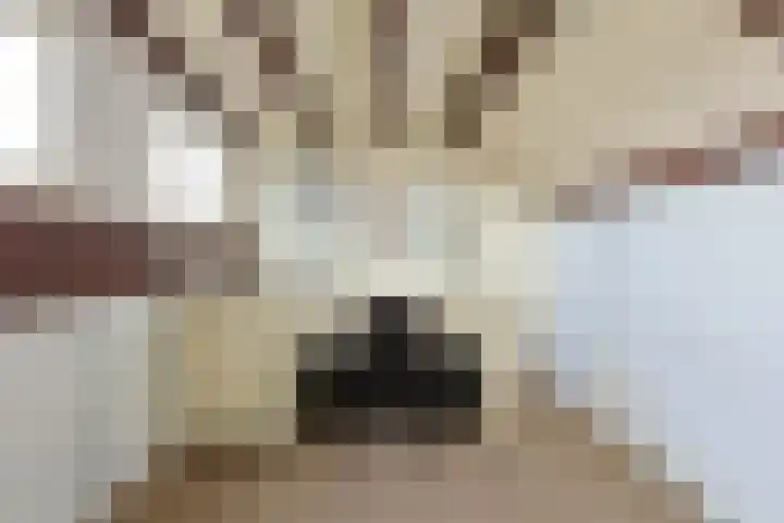 Schepenstraat 35 Ter Aar thumbnail 37