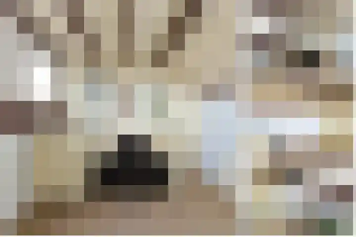 Schepenstraat 35 Ter Aar thumbnail 40