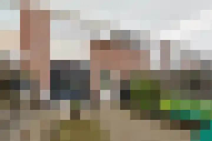 Schepenstraat 35 Ter Aar thumbnail 41