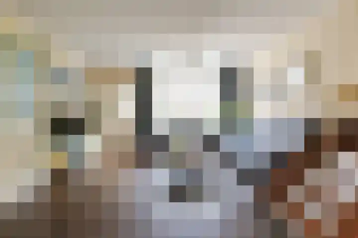 Schepenstraat 35 Ter Aar thumbnail 8