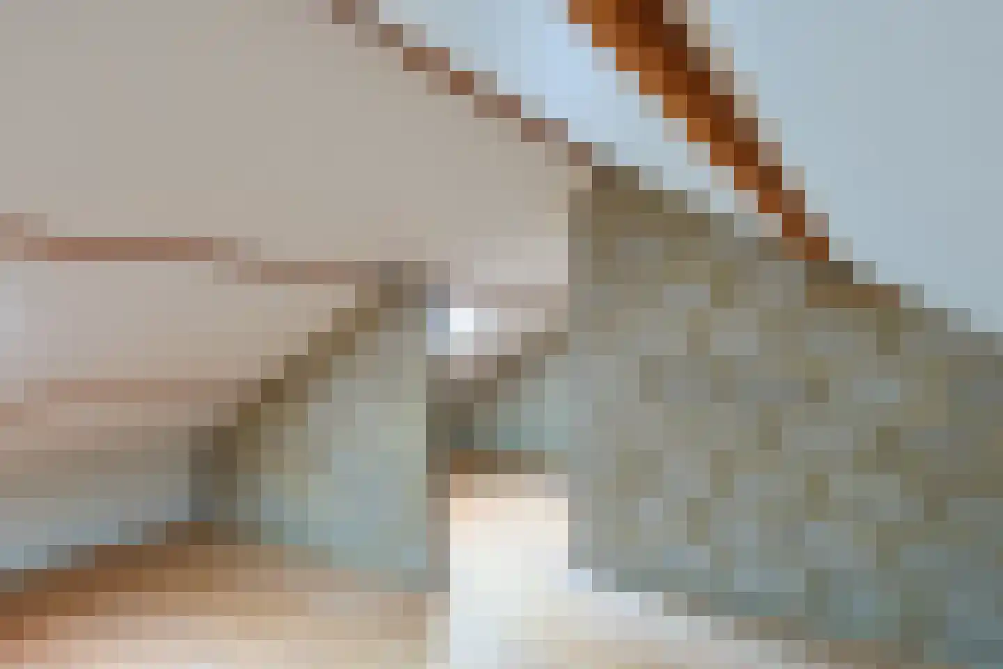 Schepenstraat 4 Munstergeleen thumbnail 19
