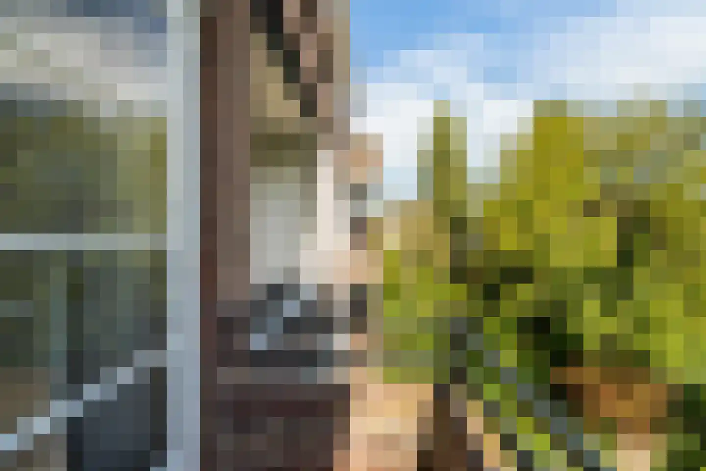 Schepenstraat 46 A Rotterdam thumbnail 26