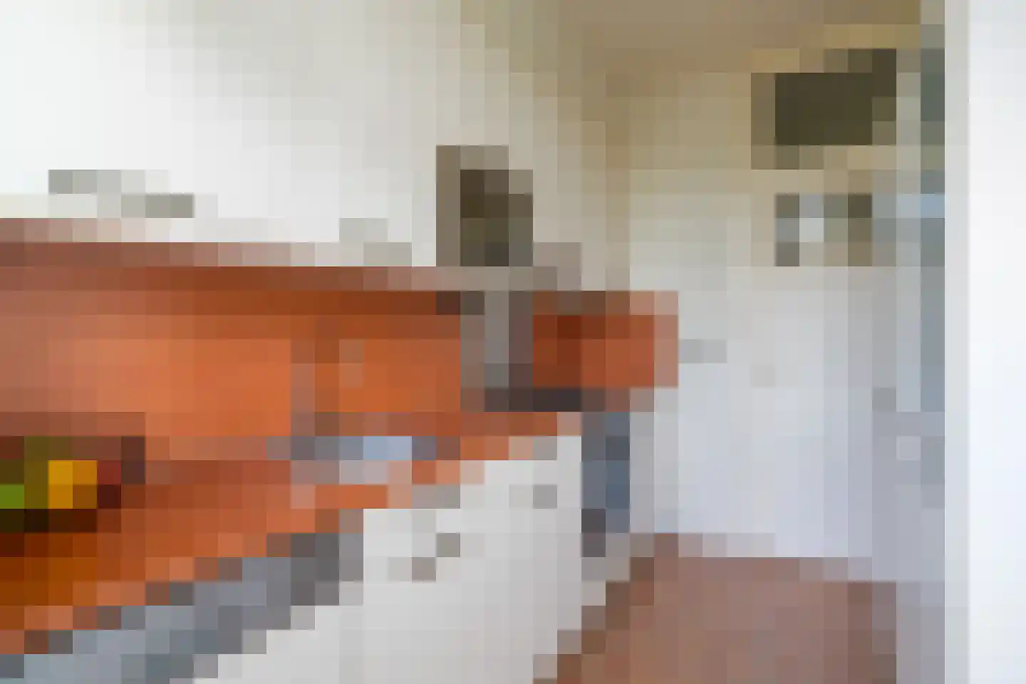Schepenstraat 46 A Rotterdam thumbnail 31