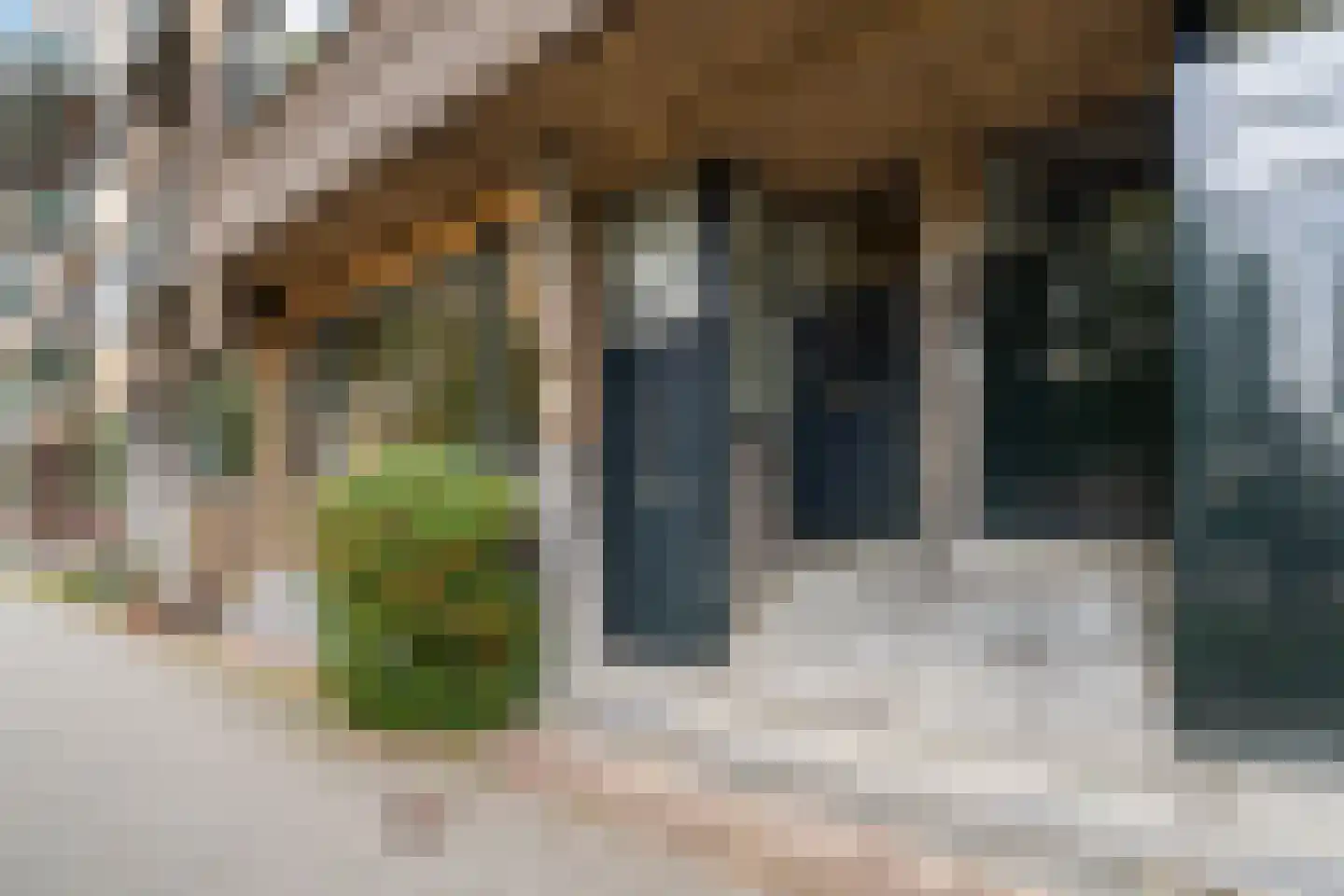 Schepenstraat 46 A Rotterdam thumbnail 60